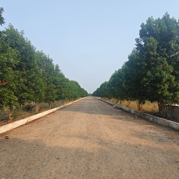 Serenity Gardens - Vizag