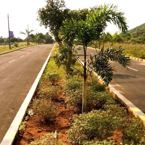 Serenity Gardens - Vizag
